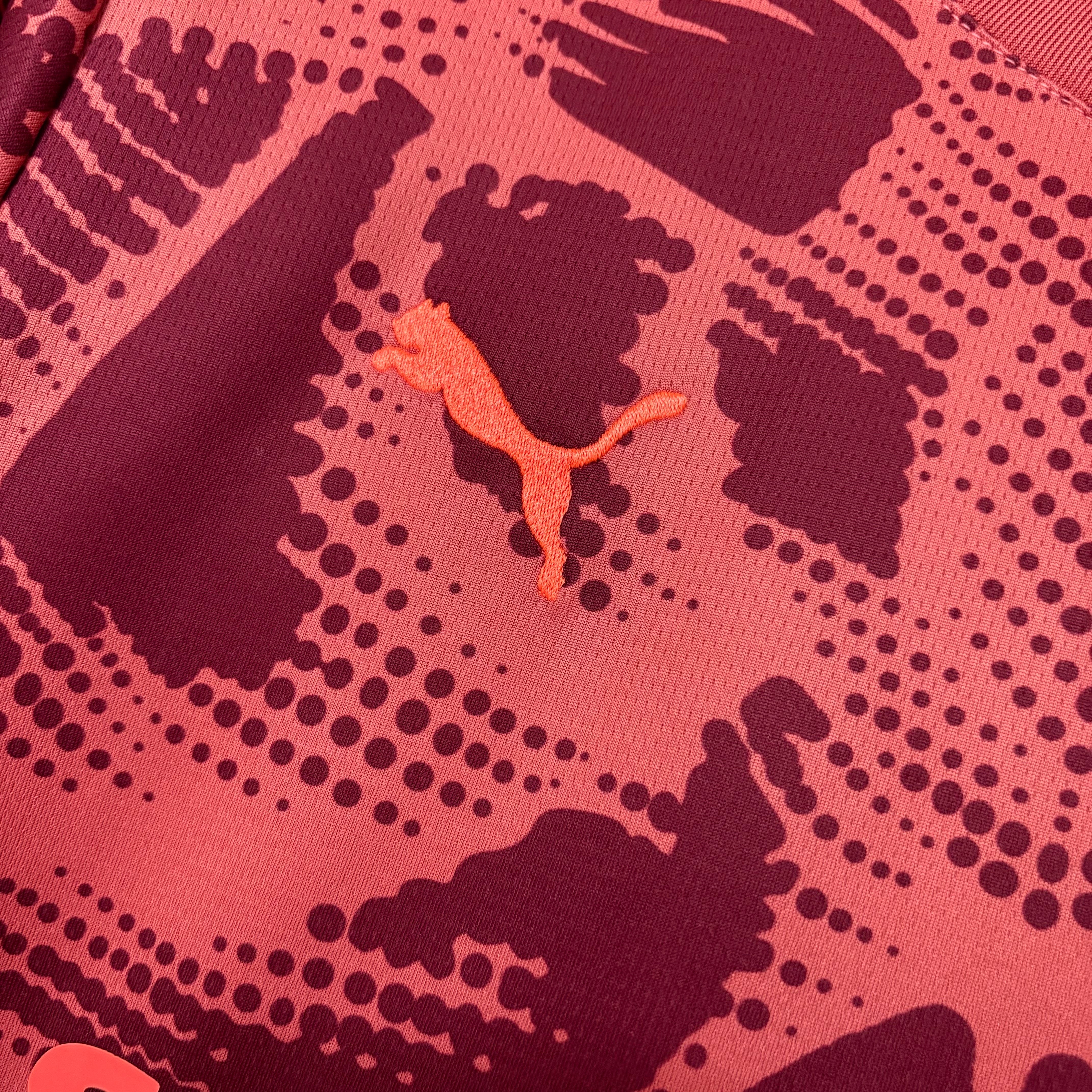Camisa Palmeiras Goleiro 25/26 - Vermelho